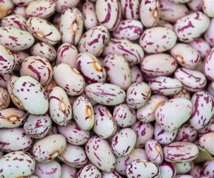 21 Other Savory Names For Pinto Beans