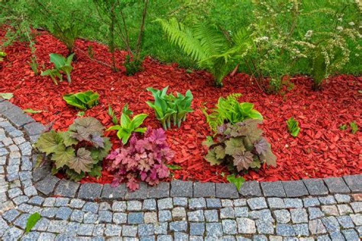 Affordable TJ Bark Mulch: Enhance Your Landscape