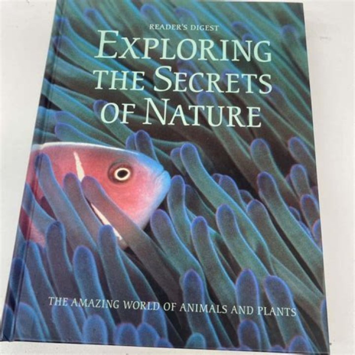 Booly 4 U: Unlocking The Secrets Of Nature