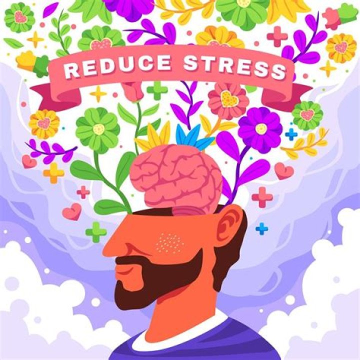 Can Anyone Else Return Your U-Haul? - Ultimate Guide To Stress-Free Returns