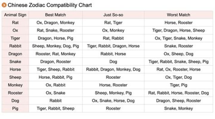 Compatibility Secrets Of The Dragon And Monkey: A Zodiac Guide