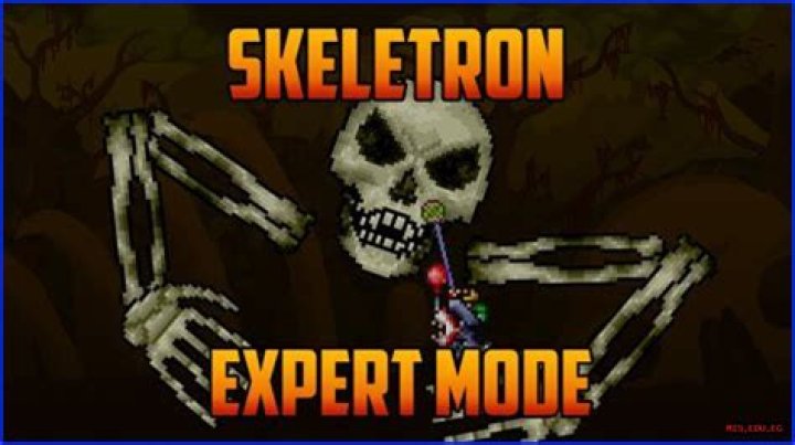 Definitive Guide To Expert Mode Skeletron: Conquer The Ultimate Challenge