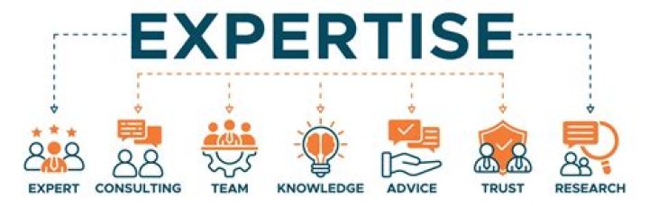 Discover Kd Estrada's Expertise And Experience