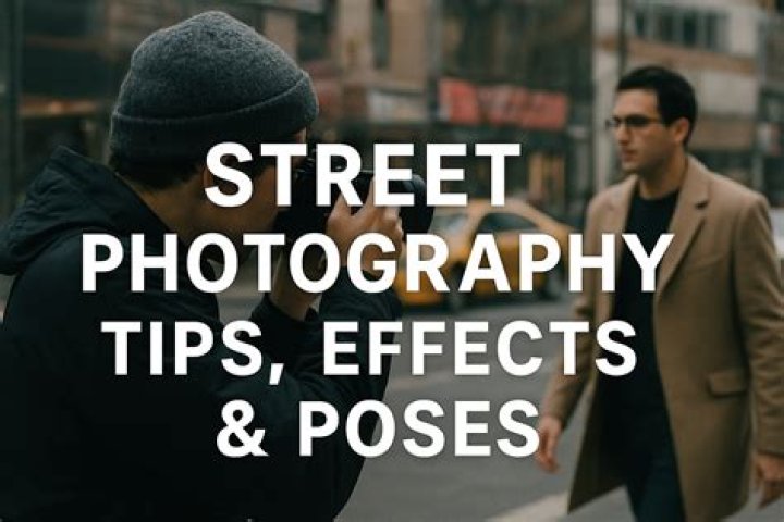 Discover Stunning Photography With Snapcamz