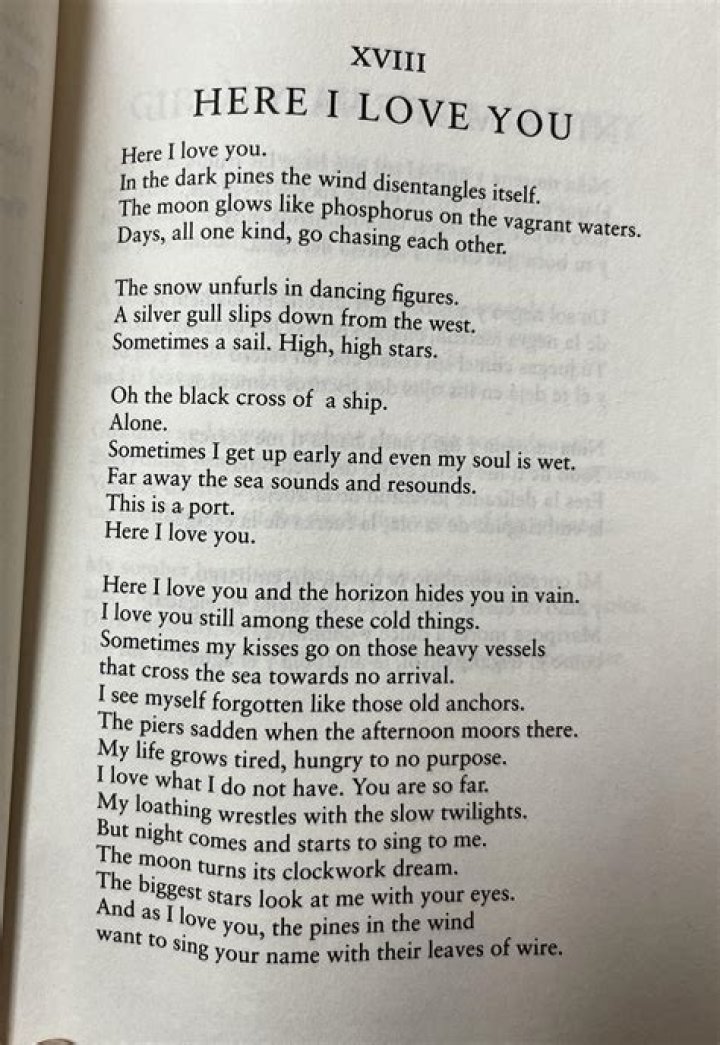 Discover The Intriguing Themes Explored In Pablo Neruda's Poetry