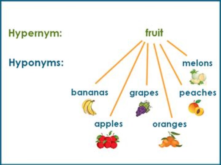 Essential Guide To Hyponymy And Hypernymy: Understanding Keyword Relationships