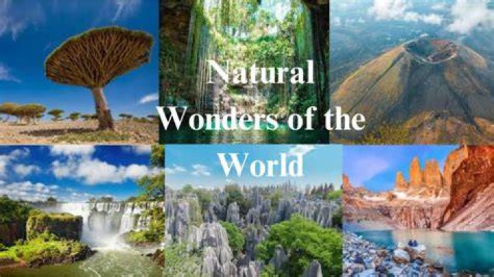 Explore Nature's Wonders With Enature.tv