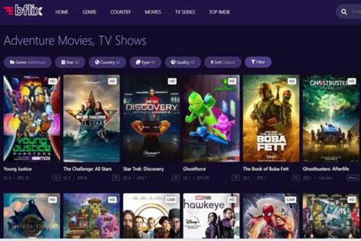 Explore The Ultimate Alternatives To Bflix: Discover The Best Streaming Options