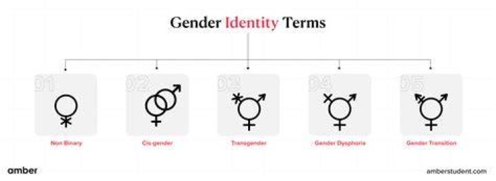 Felix Mallard's Gender Identity: Transgender Icon