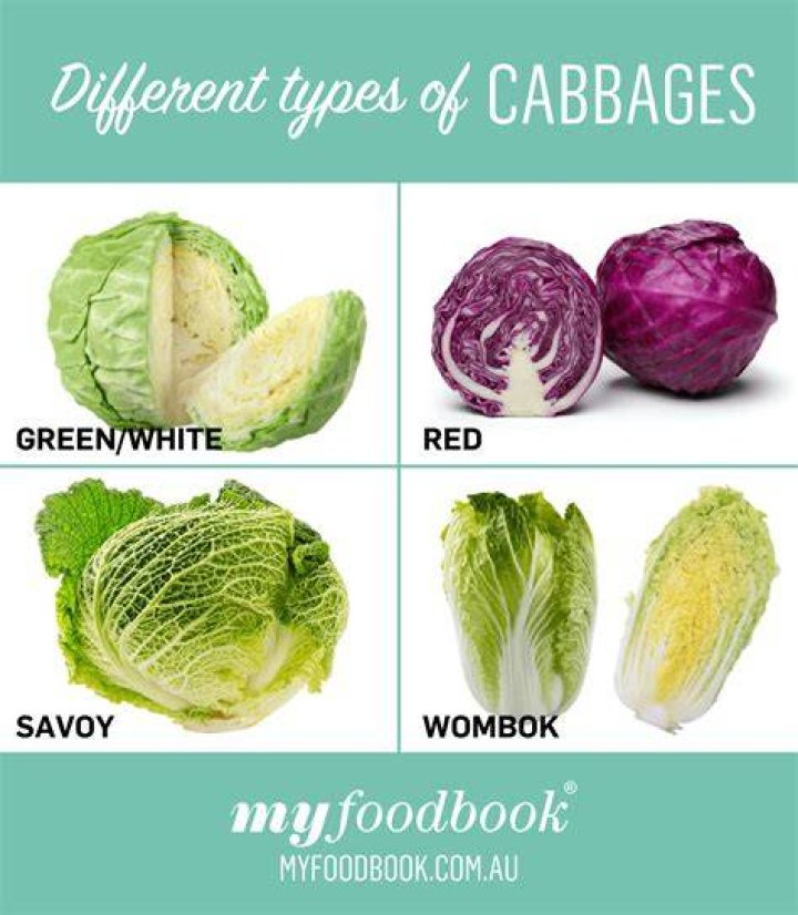 Green Cabbage Vs Purple Cabbage: Nutritional And Culinary Differences
