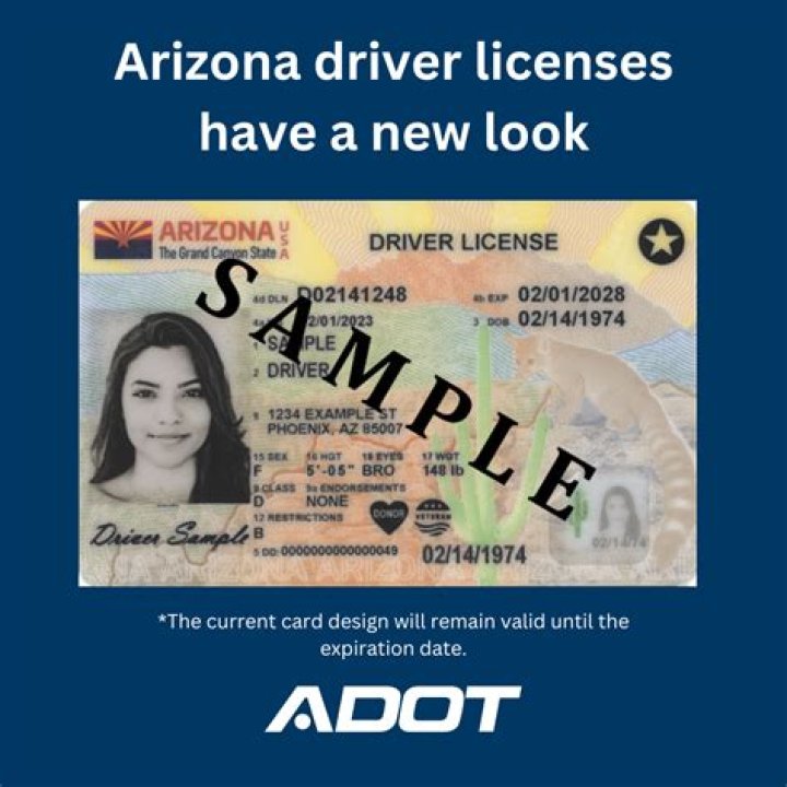 How To Easily Find Your Driver's License Number Today