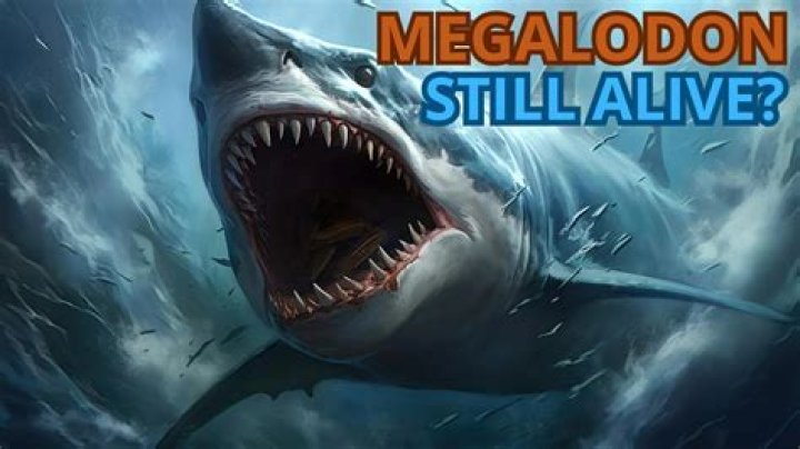 Is The Megalodon Still Alive Today? The Ultimate Truth Revealed