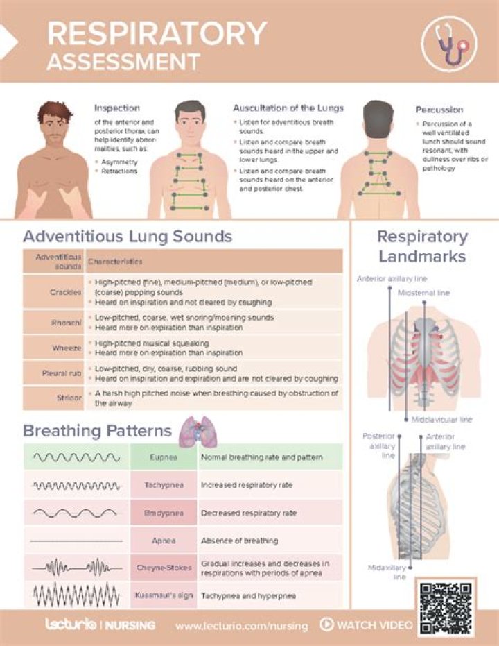 Learn About Newborn Respiratory Rates: A Comprehensive Guide