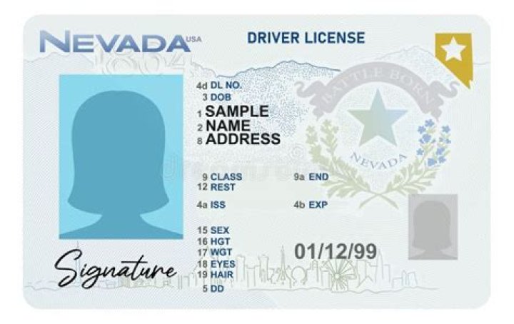 Locate Your Driver's License Number: A Comprehensive Guide