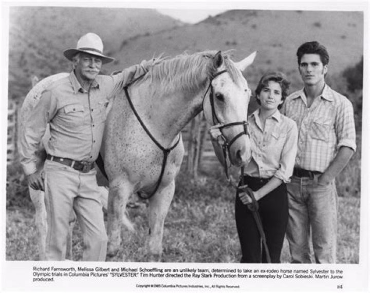 Michael Schoeffling: Hollywood Hunk In Hit Movies