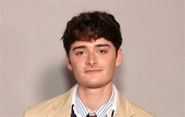 Noah Schnapp: A Comprehensive Guide To His Life And Career