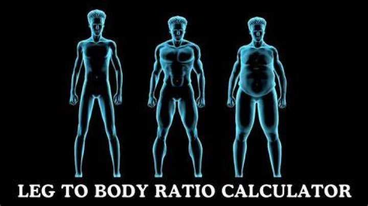 Optimize Your Leg-to-Body Ratio For Enhanced Performance