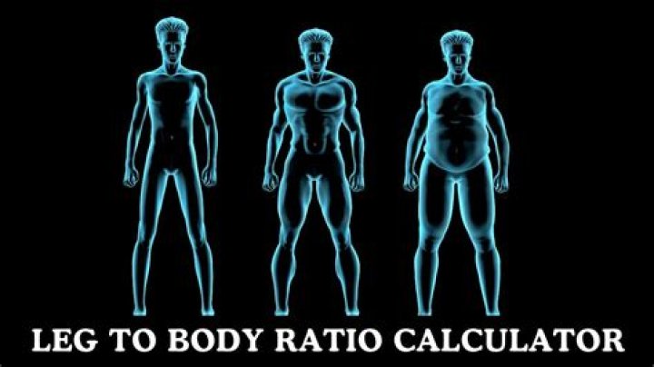 Perfect Leg To Body Ratio: The Ultimate Guide To Measuring And Improving Yours