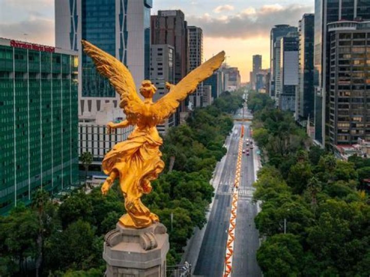 Search Engine Optimized Information For Quiros Licona Gustavo In Mexico City