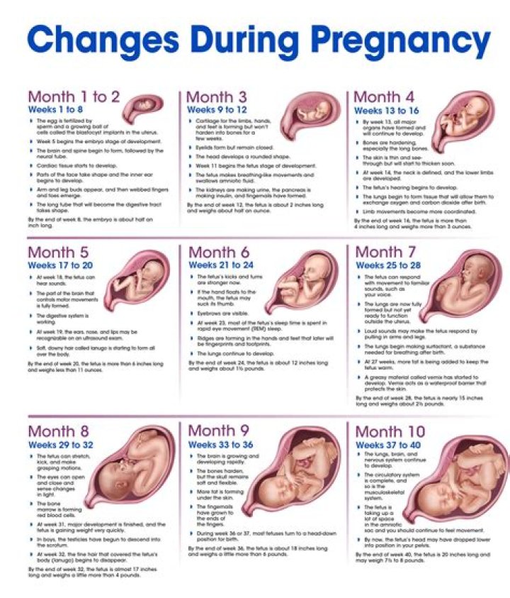 Summer Newman's Pregnancy Journey: Updates And Speculations