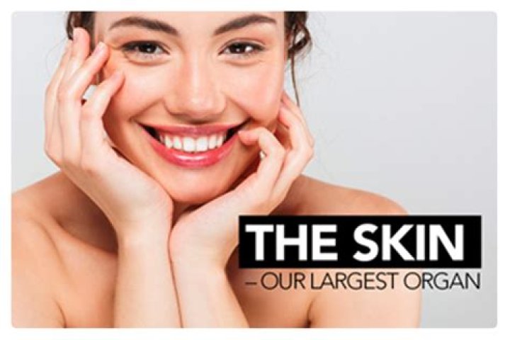 The Largest Organ: Your Skin's Role In Health