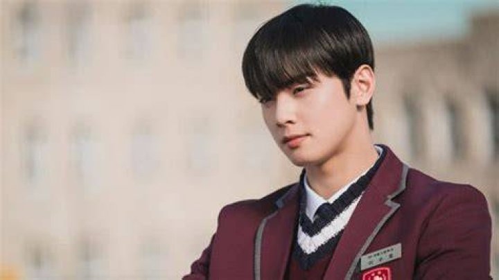 The Newest Updates On Cha Eun Woo Upcoming Shows