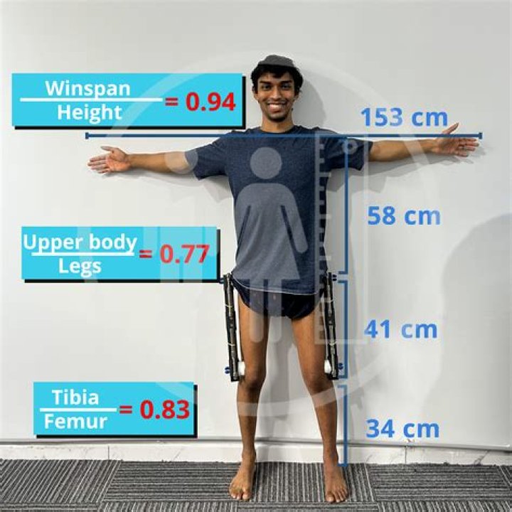 The Ultimate Guide To Body To Leg Ratio: Achieving Perfect Proportions