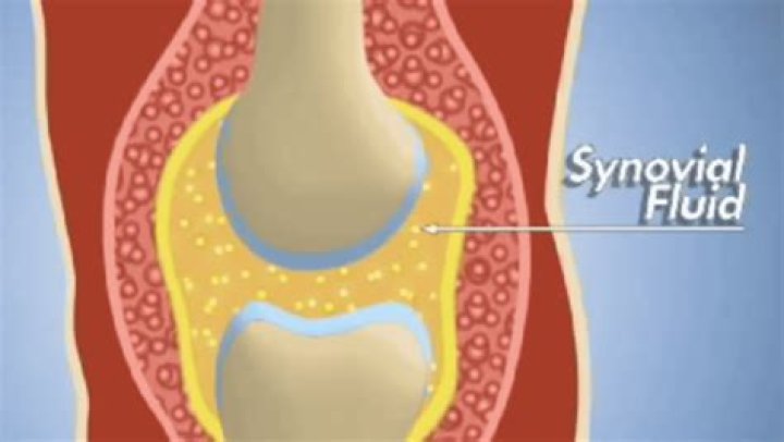 The Ultimate Guide To Boosting Synovial Fluid For Joint Health