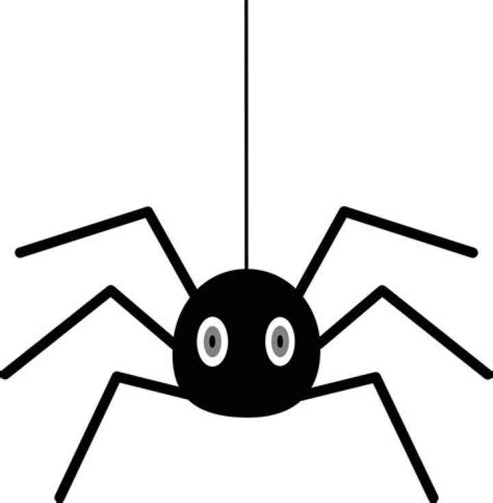 The Ultimate Guide To Freespider: Discover Its Power And Potential