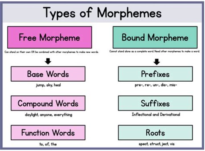 The Ultimate Guide To Hypernymy And Hyponymy: Understanding Relationships In Words