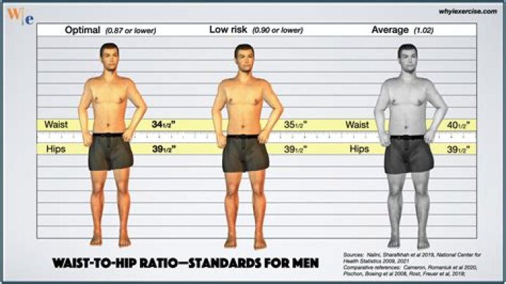 The Ultimate Guide To Leg To Torso Ratio: Optimizing Your Proportion