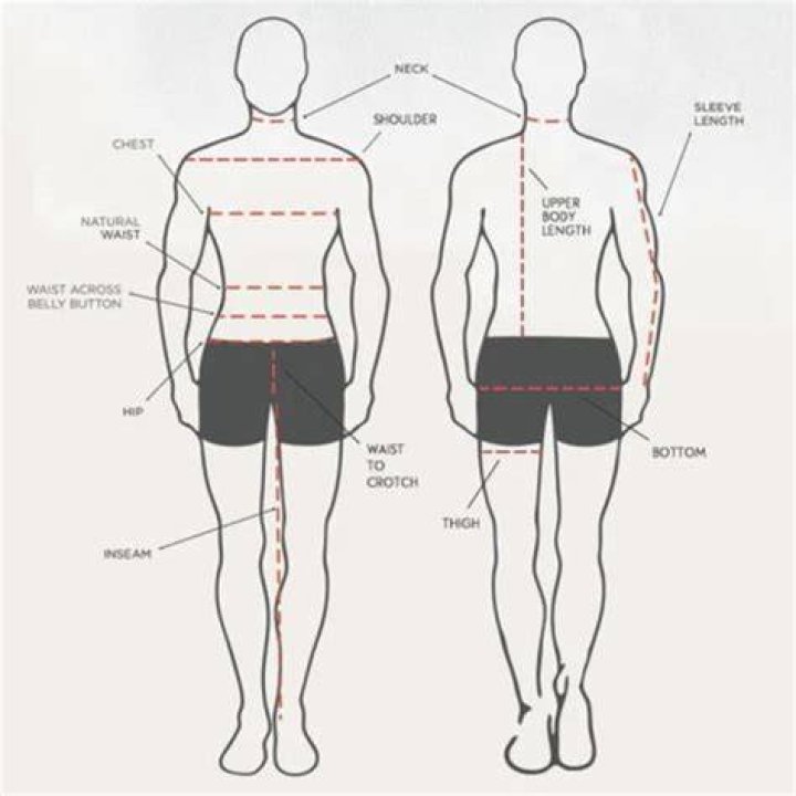 The Ultimate Guide To Torso-to-Leg Ratio For Optimal Body Composition