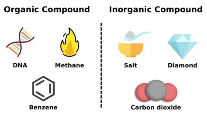 The Ultimate Guide To Understanding Organic And Inorganic Compounds