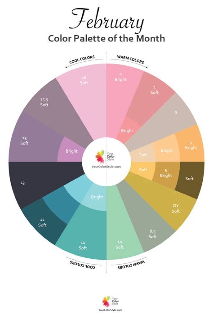 Ultimate Guide To The Colours Of The Week: Enhance Your Visual Appeal