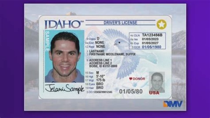 Ultimate Guide To Uncovering Your Driver's License Number