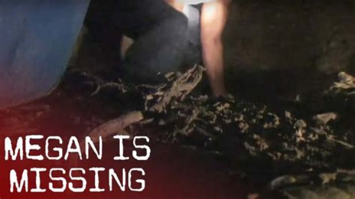 Unveiling The Chilling Reality: Uncover The Missing Images Of Megan